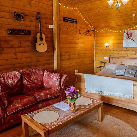 Blossom Cabin - Little Log Cabin In Wales Newtown  Εξωτερικό φωτογραφία