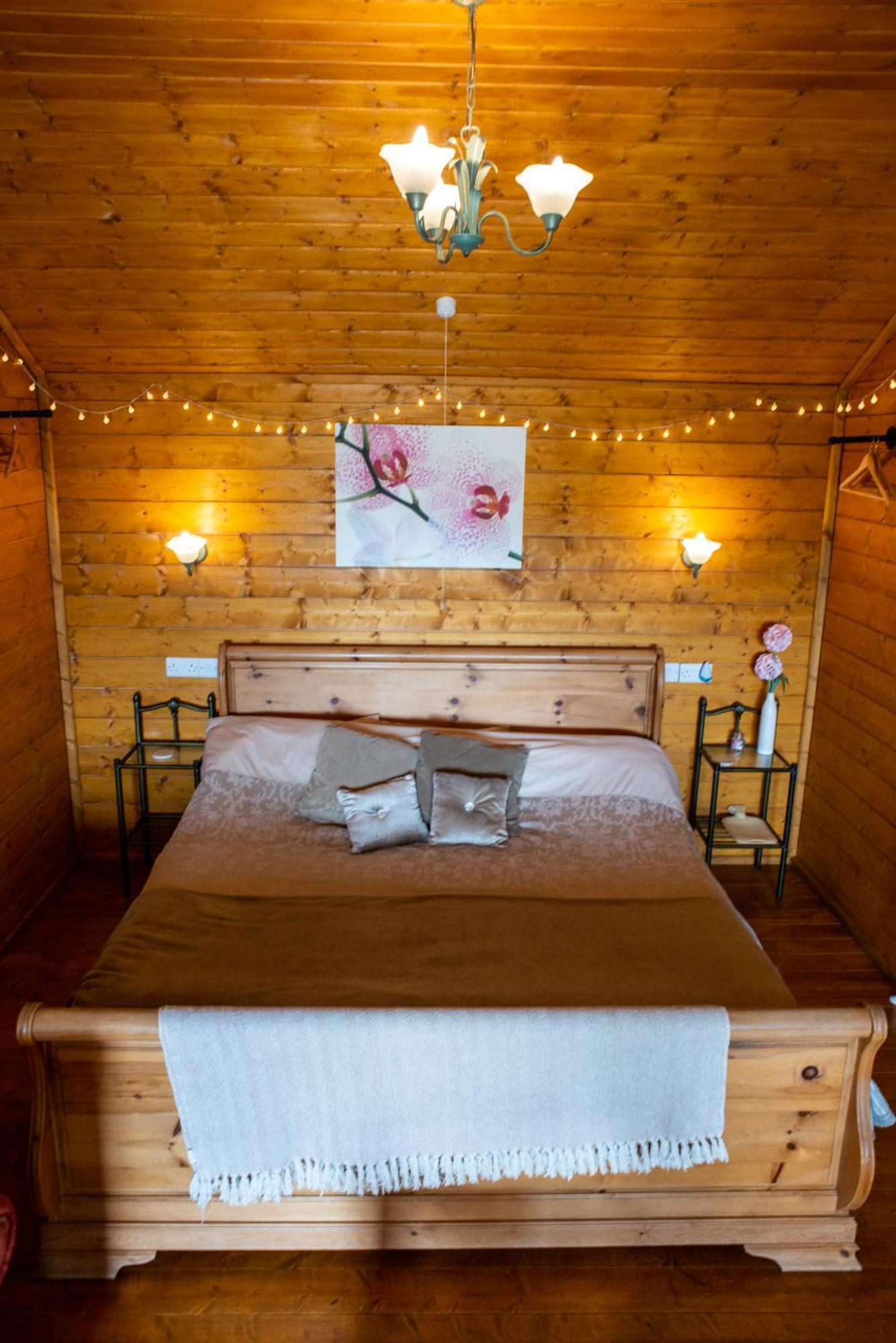 Blossom Cabin - Little Log Cabin In Wales Newtown  Εξωτερικό φωτογραφία