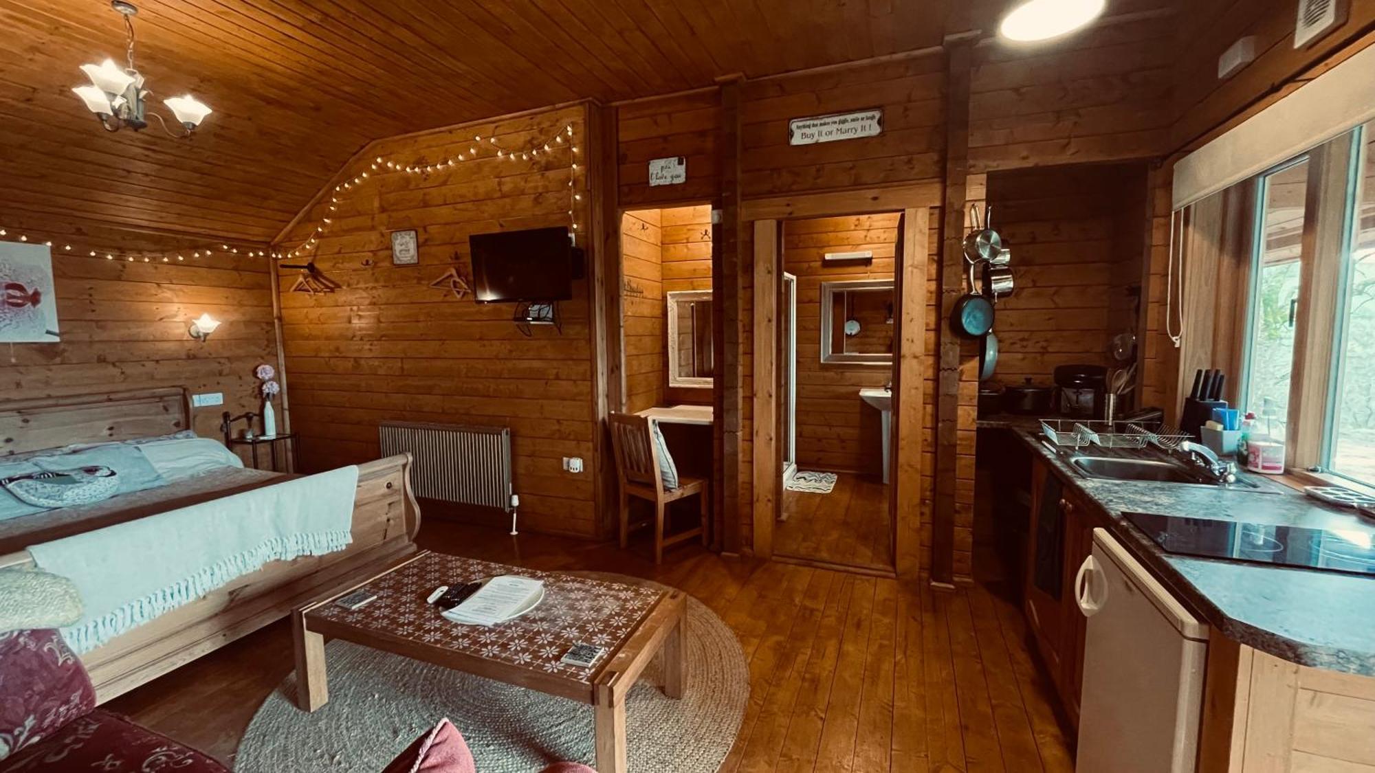 Blossom Cabin - Little Log Cabin In Wales Newtown  Εξωτερικό φωτογραφία
