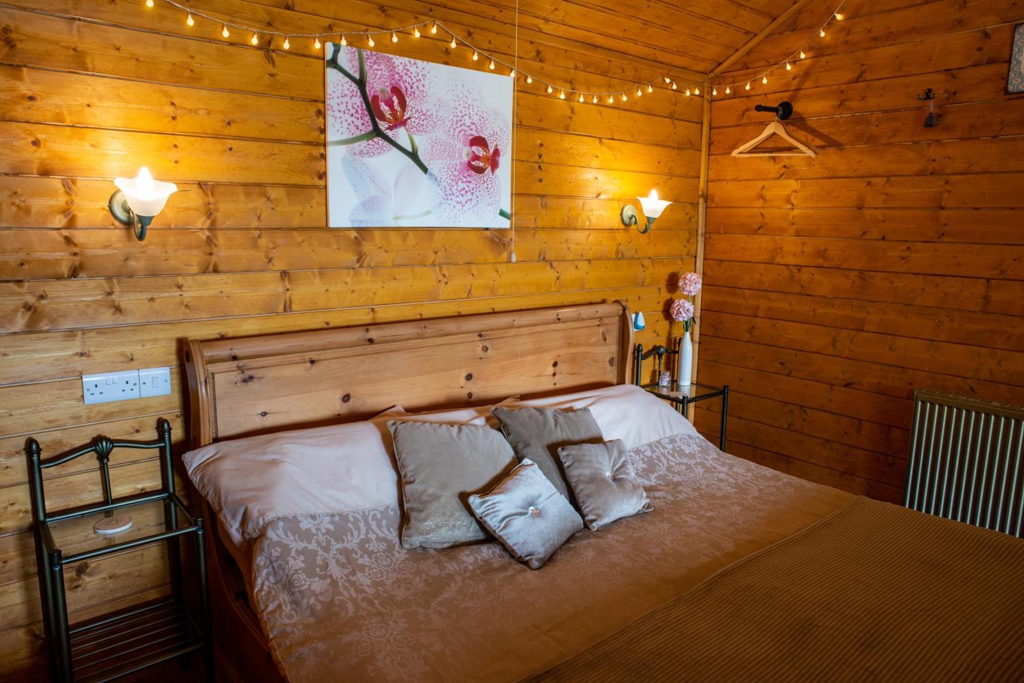 Blossom Cabin - Little Log Cabin In Wales Newtown  Εξωτερικό φωτογραφία