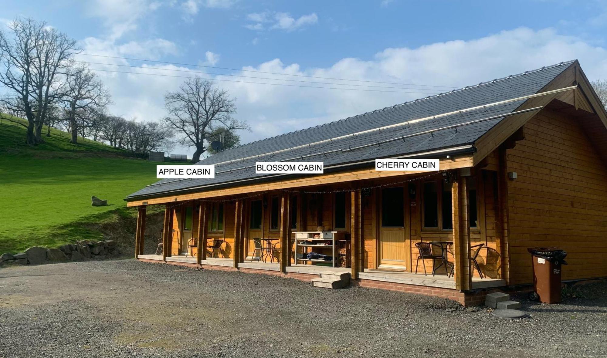 Blossom Cabin - Little Log Cabin In Wales Newtown  Εξωτερικό φωτογραφία